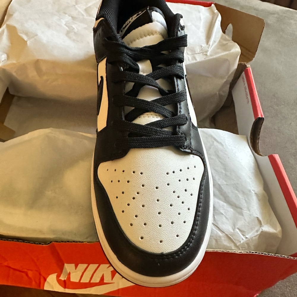 Black and white Nike low dunks- never worn